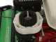 Lampacrescia MGM TTR690 - Trinciaerba a martelli  - Honda GX270