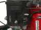 Lampacrescia MGM TTR690 - Trinciaerba a martelli  - Honda GX270