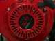 Lampacrescia MGM TTR690 - Trinciaerba a martelli  - Honda GX270