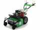 Lampacrescia MGM TTR690 - Trinciaerba a martelli  - Honda GX270