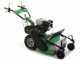 Lampacrescia MGM TTR690 - Trinciaerba a martelli  - Honda GX270