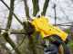 Stanley SFMCPP32M1-QW - Forbice elettrica da potatura - Diametro di taglio 32mm - SENZA BATTERIA E CARICABATTERIA