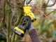 Stanley SFMCPP32M1-QW - Forbice elettrica da potatura - Diametro di taglio 32mm - SENZA BATTERIA E CARICABATTERIA