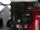 Lampacrescia MGM TTR886 - Trinciaerba a martelli - Honda GX390 Alte Pendenze