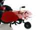 Barbieri Flex 3+2 - Motocoltivatore diesel - Karma KM178F - 6HP