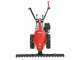 Barbieri C/60 - Motofalciatrice multifunzione - Honda GX160