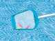 Kit pulizia basic piscine fuori terra Intex 29056