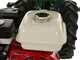 Ginko MGM FC 754 E - Motofalciatrice multifunzione - Honda GX160