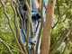 Gardena EasyCut 110/18V P4A - Forbice elettrica da potatura su asta - 18V 2Ah - Diametro di taglio 28mm