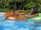 Bestway Power Steel 56671 - Piscina fuori terra