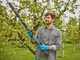Gardena HighCut 250/18V P4A - Forbice elettrica da potatura su asta - 18V 2ah - Diametro di taglio 28mm