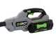 EGO PS1000E - Potatore a batteria con asta di prolunga - 56V 4Ah