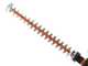 Worx Nitro WG286E - Tagliasiepi a batteria 2x20V/2Ah - Lama da 60 cm