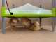 River Systems CALEO 700 - Chioccia artificiale