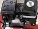 Benassi BL 6000 - Motozappa a benzina 5.5 HP - Motore Honda GX 160