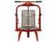 Baesso F25 Inox - Torchio a vite per frutta e verdura 20L - Gabbia in INOX