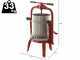 Baesso F25 Inox - Torchio a vite per frutta e verdura 20L - Gabbia in INOX