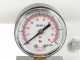 Enotecnica Pillan Garda - Idropressa per frutta 80 L - Vasca in INOX