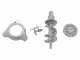 Accessorio tritacarne in acciaio inox per passapomodoro - N.8 - Tre Spade