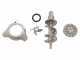 Tre Spade TC-32 INOX/2HP - Tritacarne elettrico - 1500w - N.32