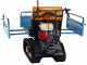 EuroMech EM500H-Agri - Motocarriola cingolata cassone estensibile 500Kg