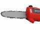 Einhell GC-EC 7520 T - Potatore elettrico su asta telescopica - Lama da 20cm