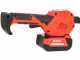 Blue Bird Olimpo 23-56 AT - Abbacchiatore a batteria - 21 V - Asta telescopica -  SENZA BATTERIE E CARICABATTERIE