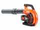 Echo E-Force DPB-2600 - Soffiatore a batteria 56V 5Ah