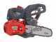 Efco MTTH 2400 - Motosega a scoppio da potatura - Lama da 25cm