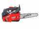 Efco MTTH 2400 - Motosega a scoppio da potatura - Lama carving da 25cm