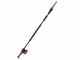 Blue Bird PCS 22-10 - Potatore telescopico a batteria - 2 x 21V 5Ah