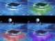 Luce galleggiante solare - Intex