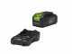 Greenworks GD48TCS - Elettrosega a batteria 48V 2Ah - Lama da 30cm