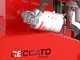 Ceccato Olindo BULL SPLE8T - Spaccalegna elettrico - Verticale - 400V