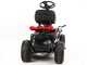 Troy-Bilt TB 60T-S SELECT - Trattorino tagliaerba - con scarico laterale - Motore da 196cc
