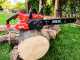 Skil 0581 CA - Elettrosega a batteria 40V 2Ah - Lama da 35cm