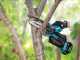 Makita DUC150ZJ LXT - Potatore manuale a batteria - 18V/3ah