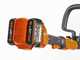 Worx WG183E - Decespugliatore a batteria - 40V - 2x20/2Ah