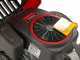 Blue Bird LT C 92H - Trattorino rasaerba con cambio idrostatico - cesto di raccolta 245 L