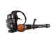 Worx Nitro WG572E - Soffiatore a zaino a batteria - 4 batterie da 20V 4Ah
