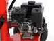 Blue Bird LSE 16000 - Spaccalegna a scoppio - Verticale - Loncin 196