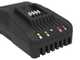 Worx Nitro WG350E - Elettrosega a batteria 20V 4Ah - Lama da 30 cm 