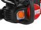 Worx Nitro WG350E - Elettrosega a batteria 20V 4Ah - Lama da 30 cm 