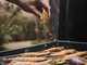 Weber Piastra Premium Slate GP 43cm - Barbecue a gas portatile