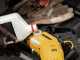 DeWalt DCMPS520N-XJ - Elettrosega da potatura - 18V - SENZA BATTERIA E CARICABATTERIA