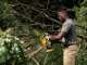 DeWalt DCMPS520P1-QW - Elettrosega da potatura 18V 5Ah - Lama da 20cm