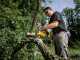 DeWalt DCMPS520P1-QW - Elettrosega da potatura 18V 5Ah - Lama da 20cm