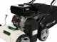 GreenBay PS 700-25 kit spazzola - Arieggiatore multiuso a scoppio - Motospazzatrice