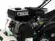 GreenBay PS 700-25 - Arieggiatore a scoppio a lame fisse