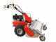 Efco DR 100 - Trinciaerba professionale a martelli - Kohler CH440